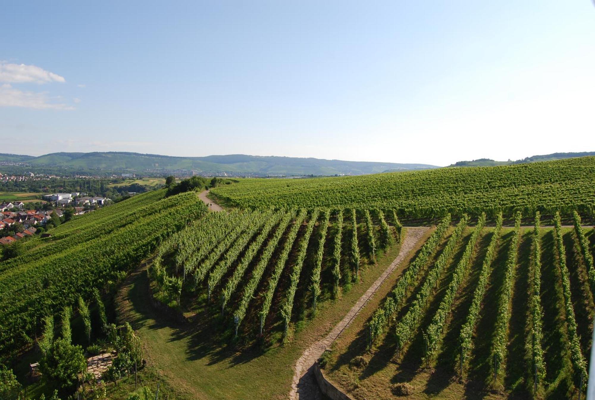 Unter Der Yburg Stetten Stetten  エクステリア 写真