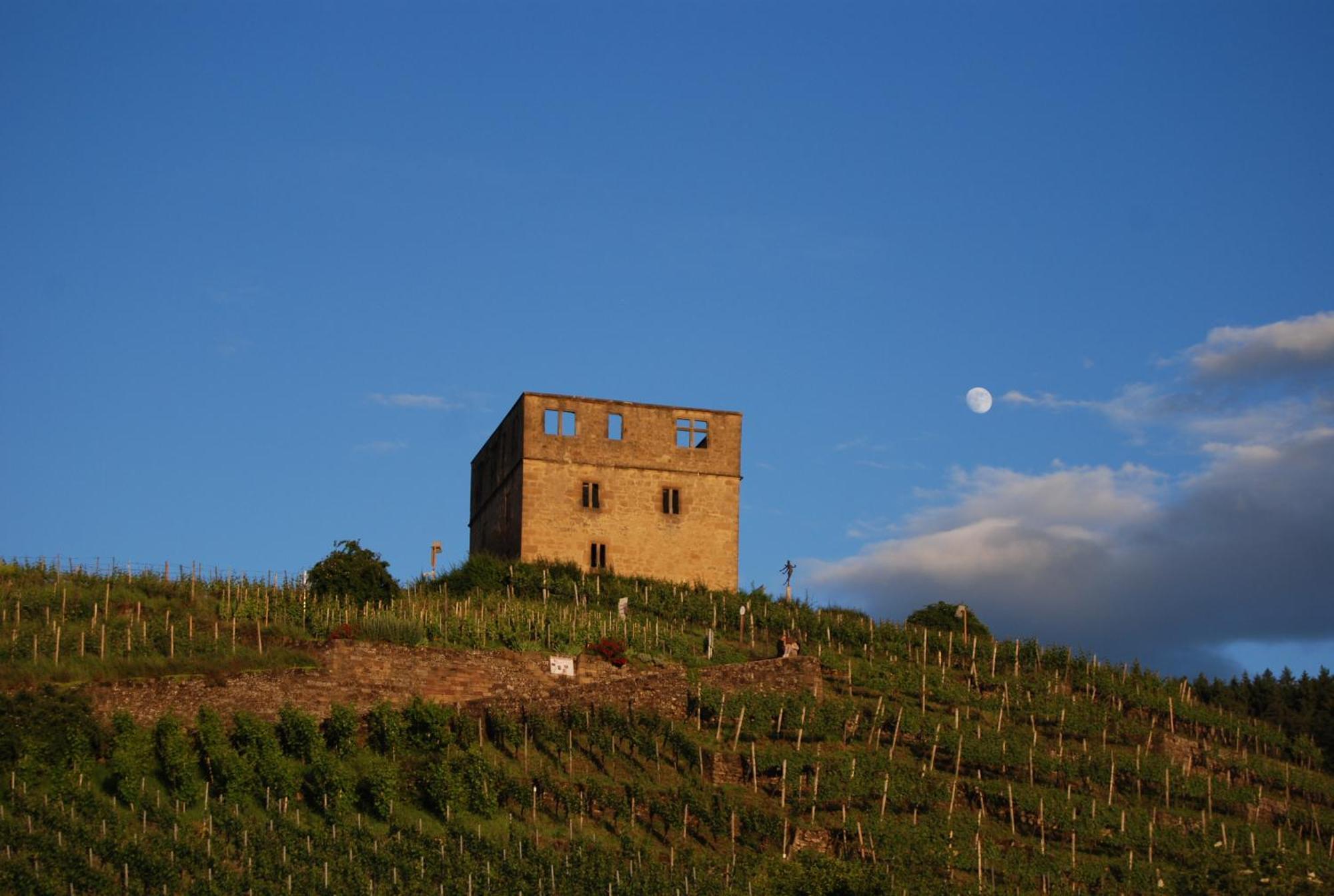 Unter Der Yburg Stetten Stetten  エクステリア 写真