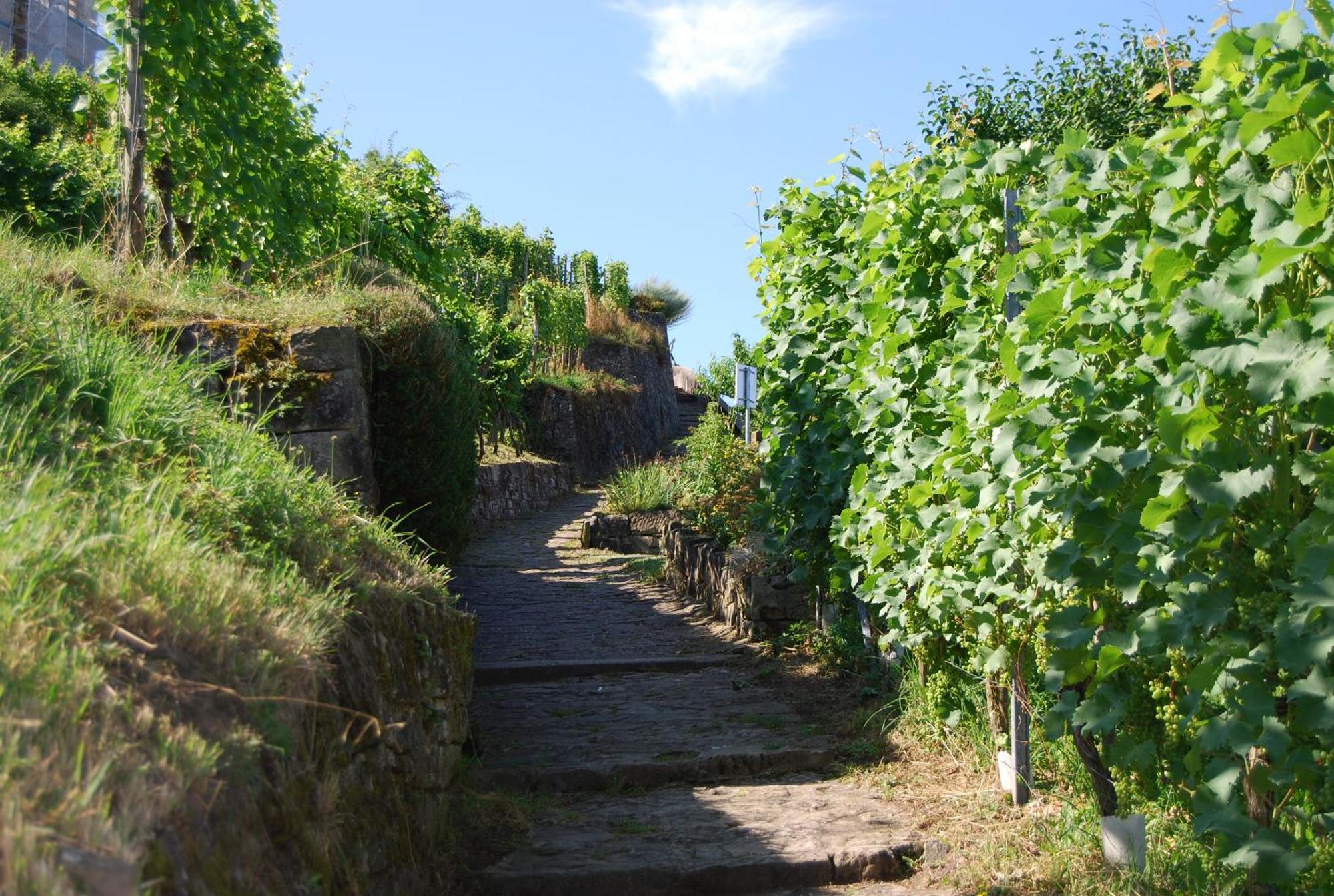 Unter Der Yburg Stetten Stetten  エクステリア 写真