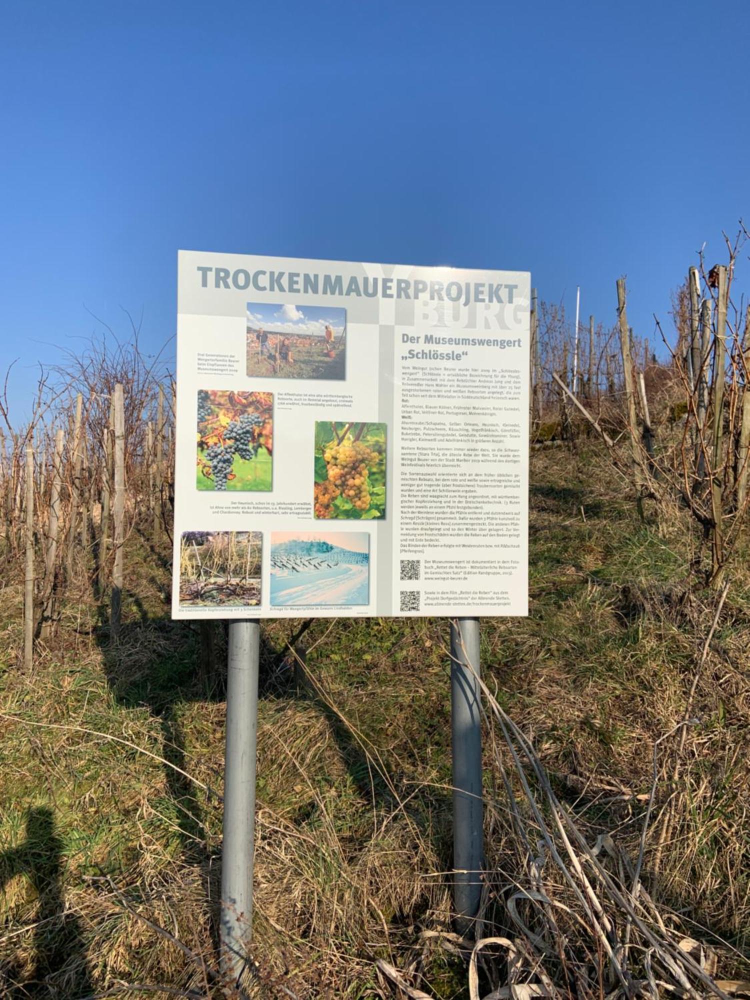 Unter Der Yburg Stetten Stetten  エクステリア 写真