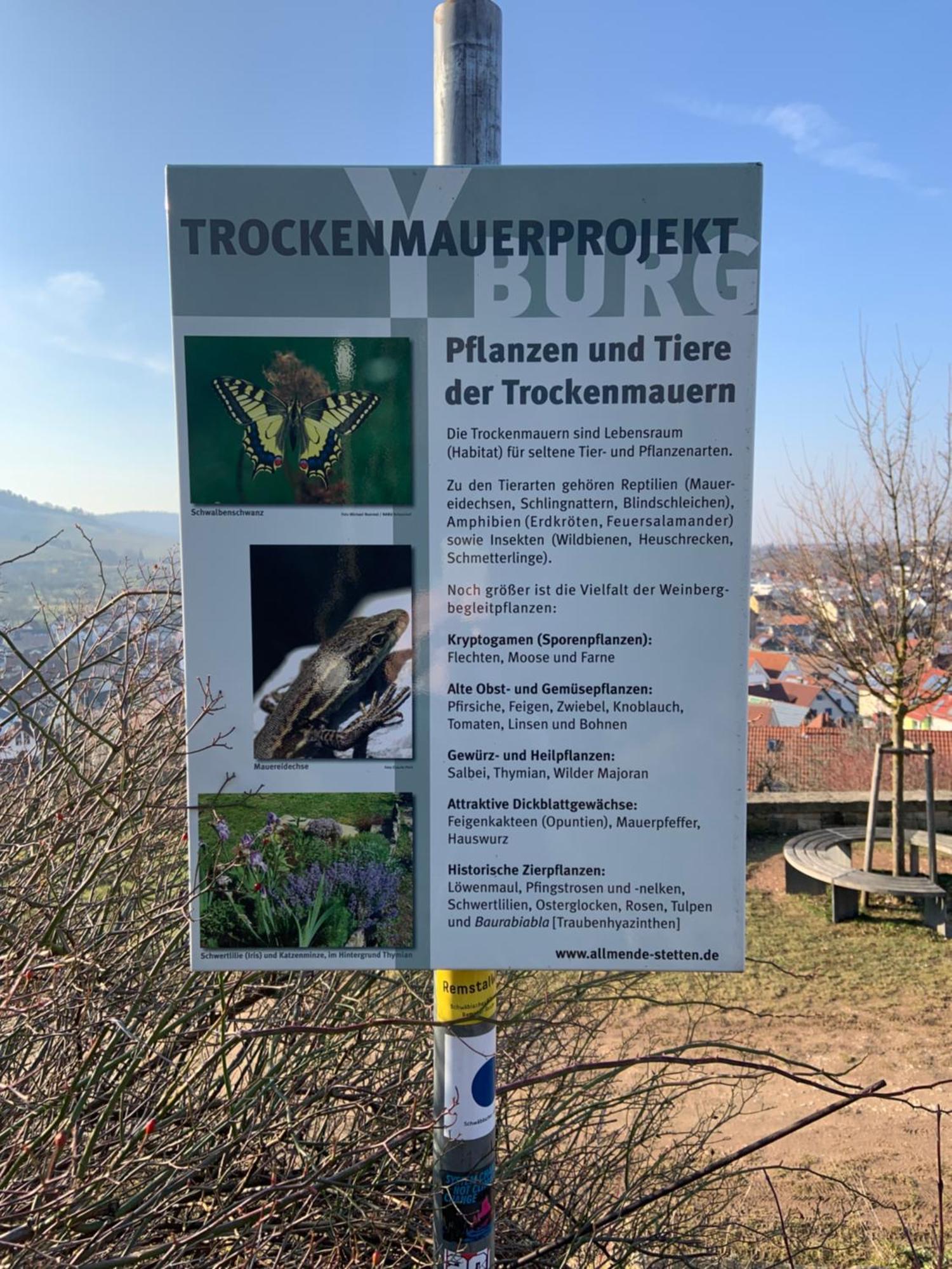 Unter Der Yburg Stetten Stetten  エクステリア 写真