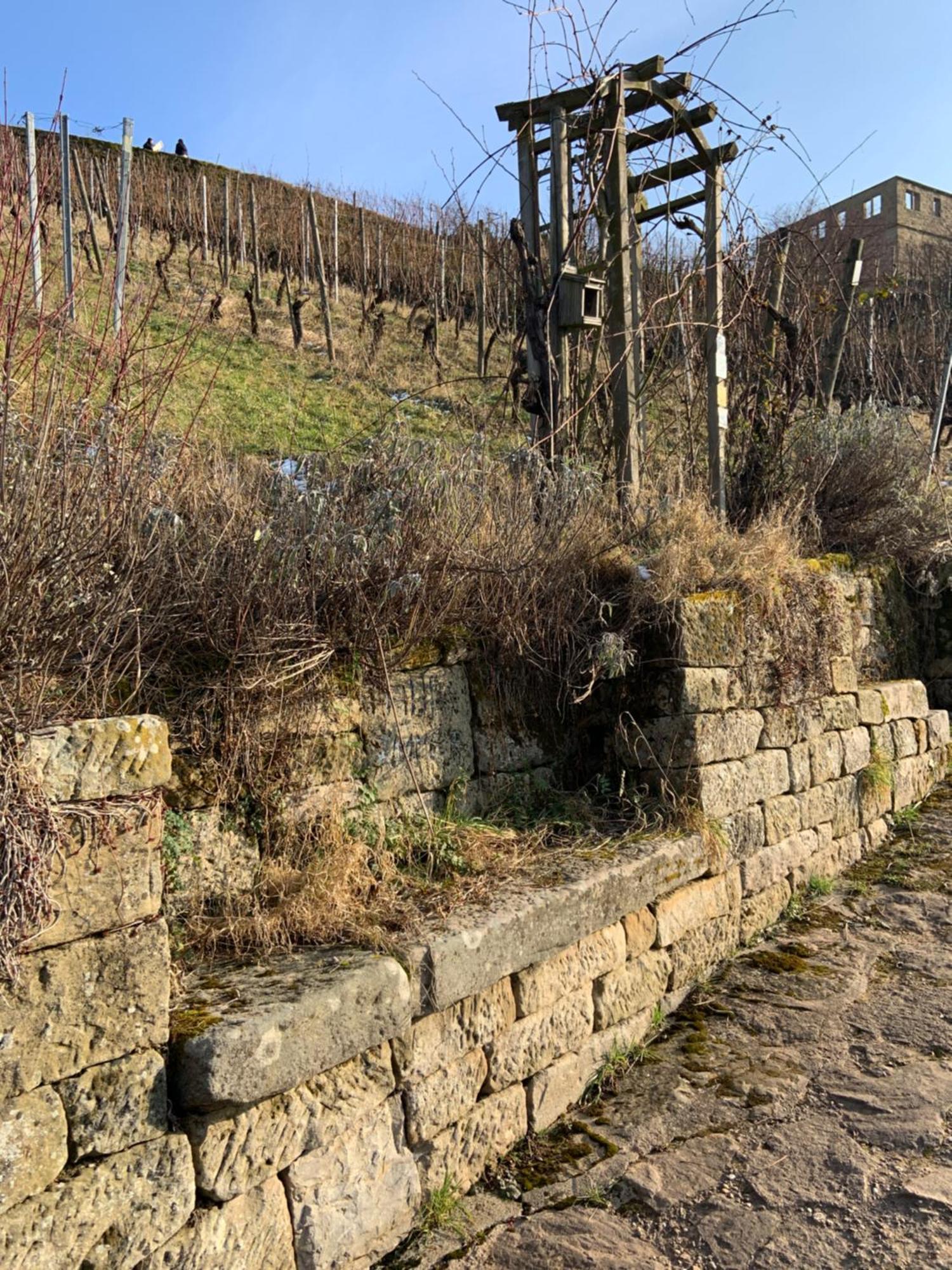Unter Der Yburg Stetten Stetten  エクステリア 写真