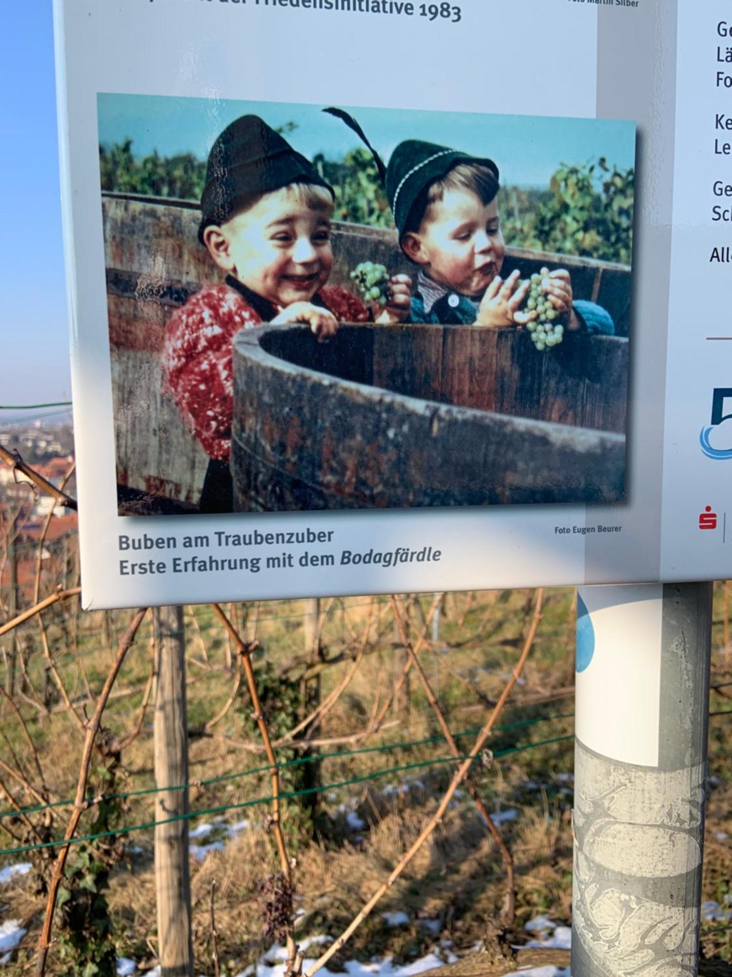 Unter Der Yburg Stetten Stetten  エクステリア 写真